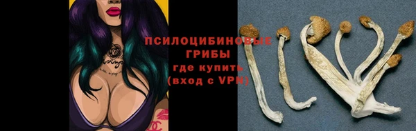 соль ск Алексеевка