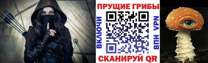 закладка  Юрьевец  Галлюциногенные грибы мухоморы 